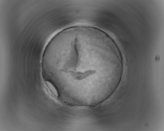 X0000114640864200911101257