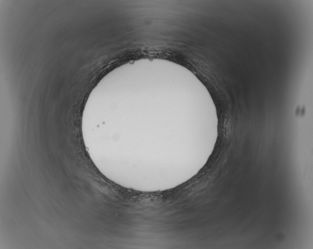 X0000114640865200911101256