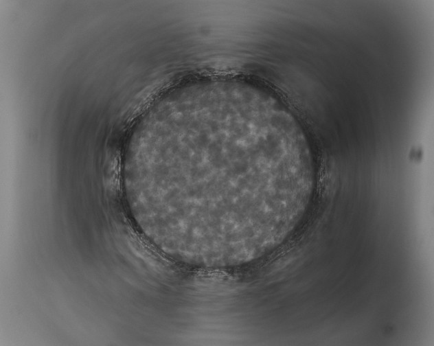 X0000114640866200911101256
