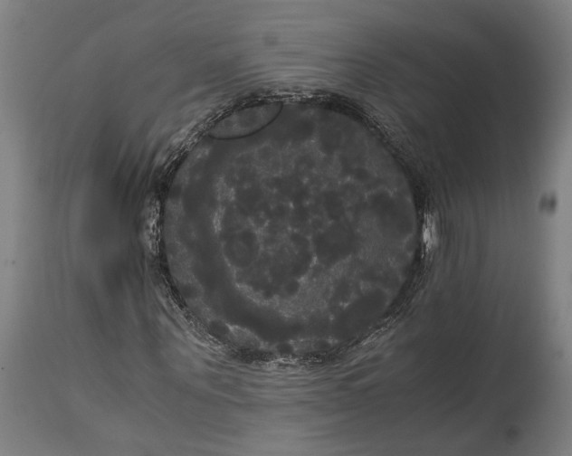X0000114640867200911101256