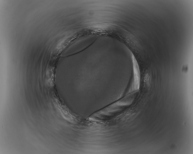 X0000114640868200911101256