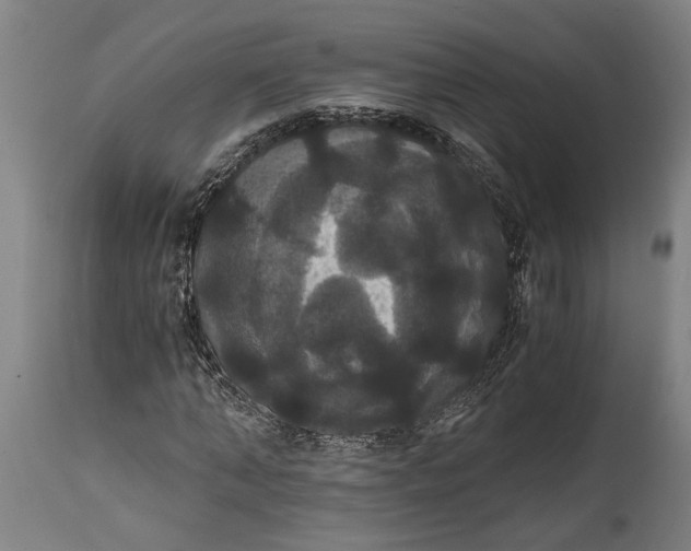 X0000114640870200911101256