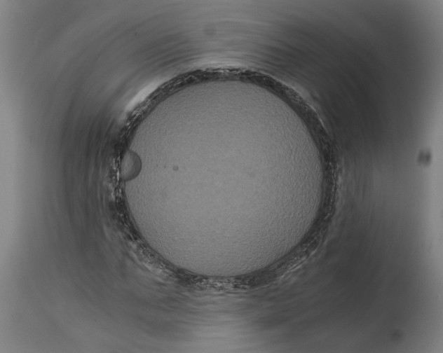 X0000114640871200911101256