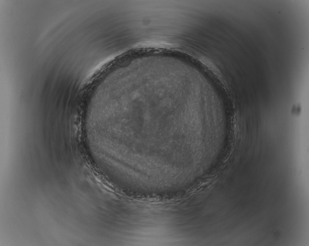 X0000114640872200911101256