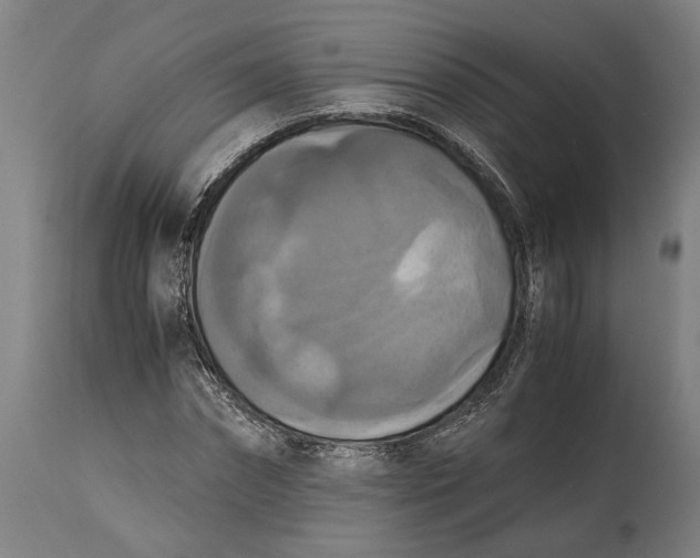 X0000114640874200911101256