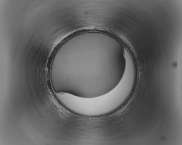 X0000114640876200911101256
