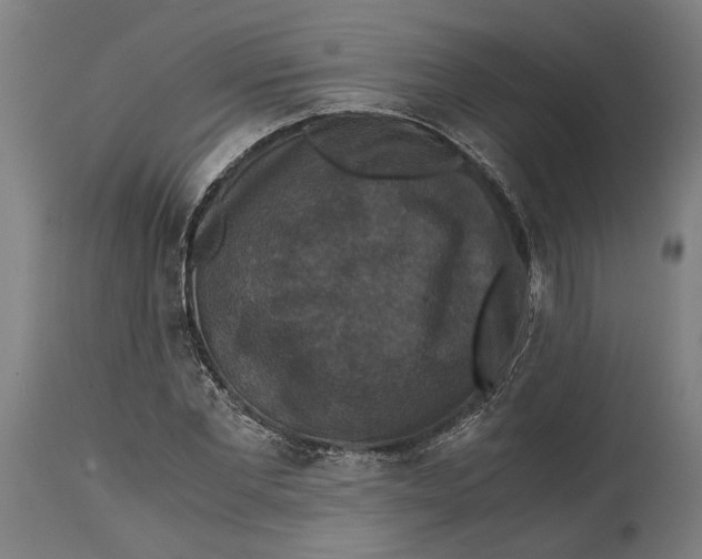 X0000114640877200911101256