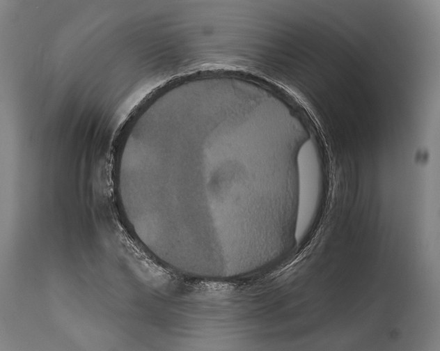 X0000114640878200911101256