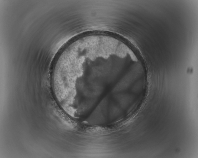 X0000114640879200911101256