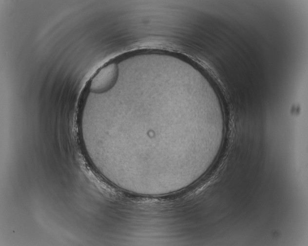X0000114640880200911101256
