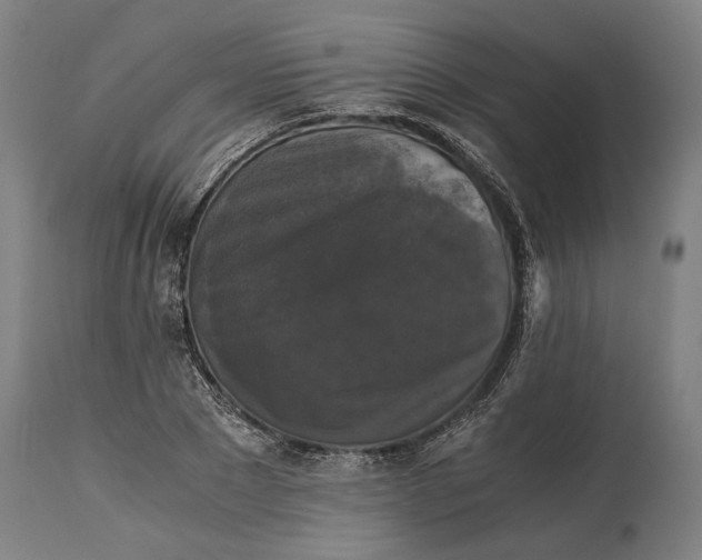 X0000114640881200911101256