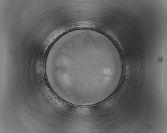 X0000114640882200911101256