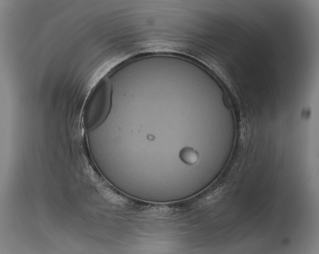 X0000114640885200911101255