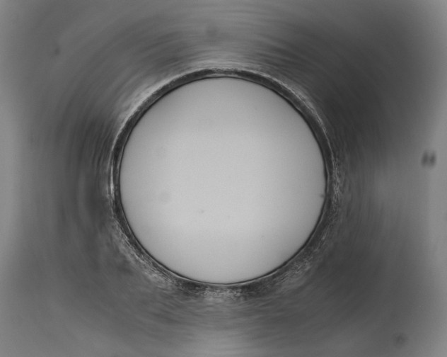 X0000114640887200911101255