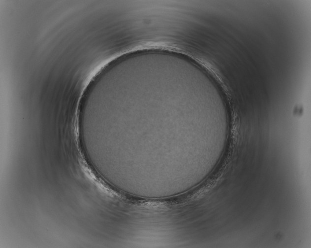 X0000114640888200911101255
