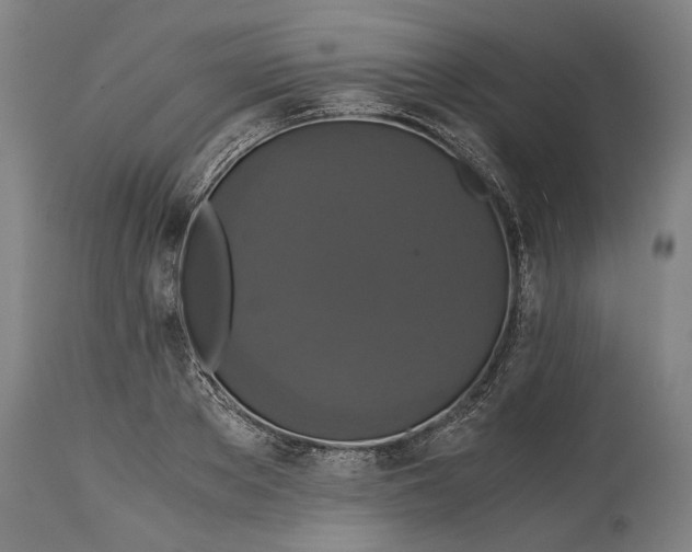 X0000114640889200911101255
