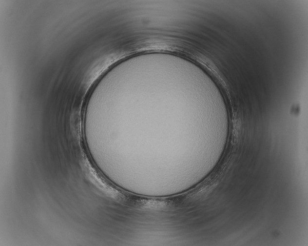 X0000114640890200911101255