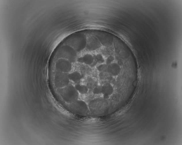 X0000114640891200911101255