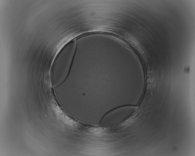 X0000114640892200911101255