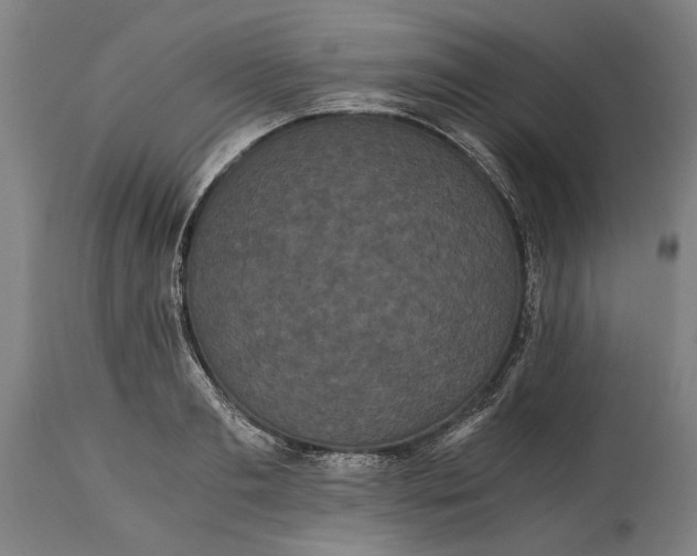 X0000114640893200911101255