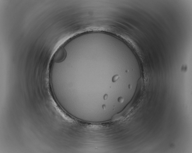 X0000114640894200911101255