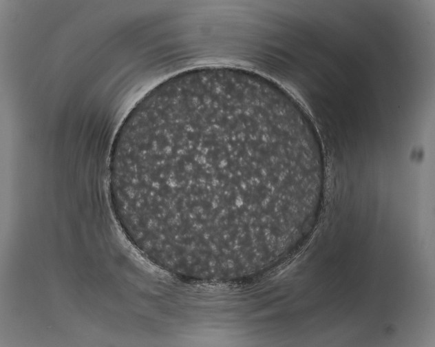 X0000114640895200911101255
