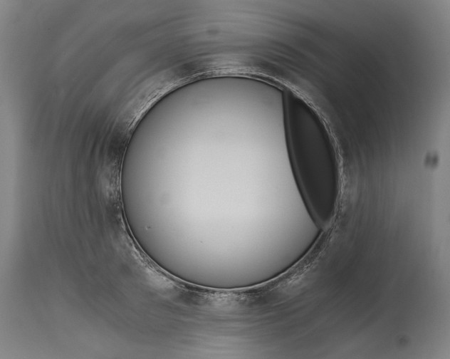 X0000114640897200911101255