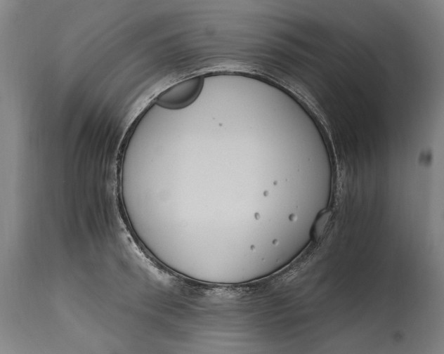 X0000114640898200911101255