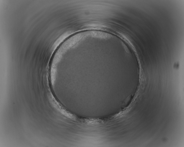 X0000114640899200911101255