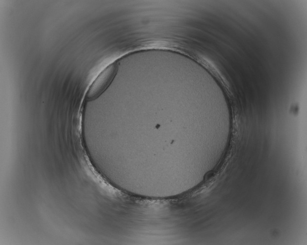 X0000114640900200911101255