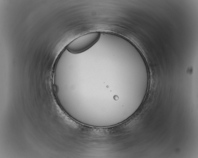 X0000114640901200911101255
