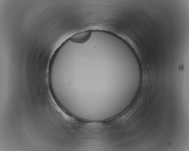 X0000114640902200911101255