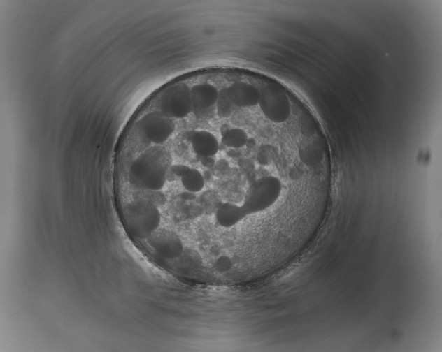 X0000114640903200911101255