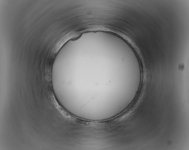 X0000114640905200911101255