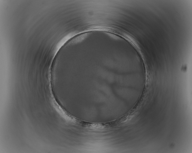 X0000114640907200911101255