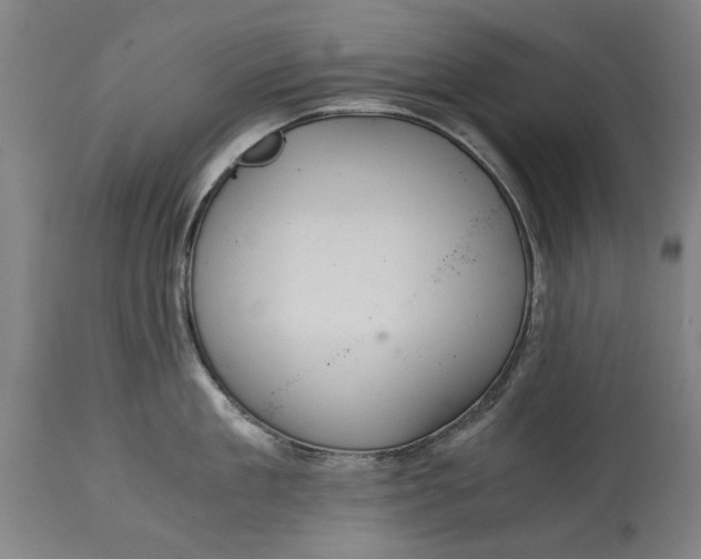 X0000114640909200911101255
