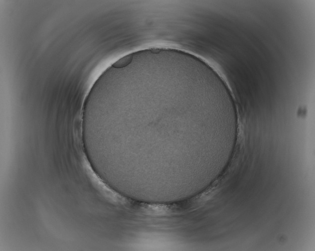 X0000114640911200911101255
