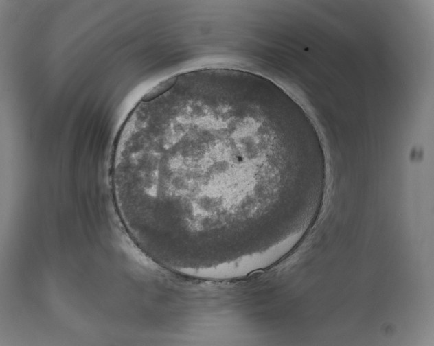 X0000114640912200911101255