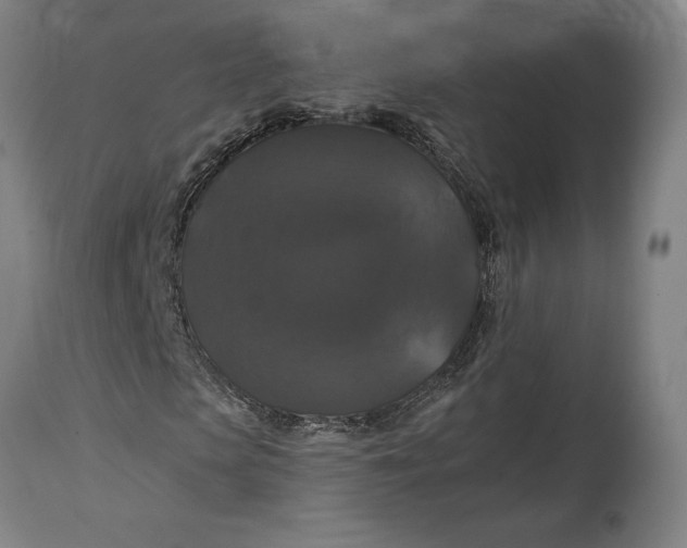 X0000114640913200911101254