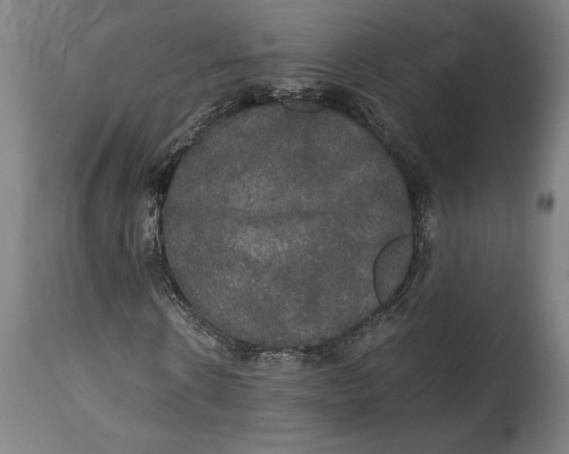 X0000114640914200911101254