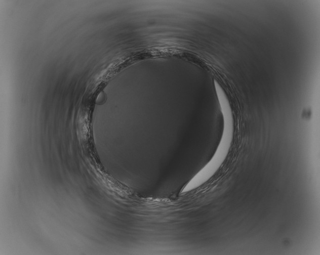 X0000114640915200911101254