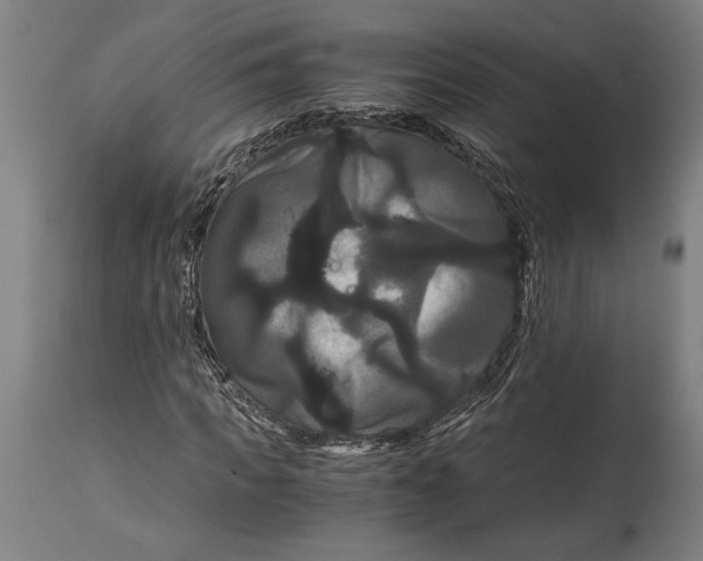 X0000114640917200911101255