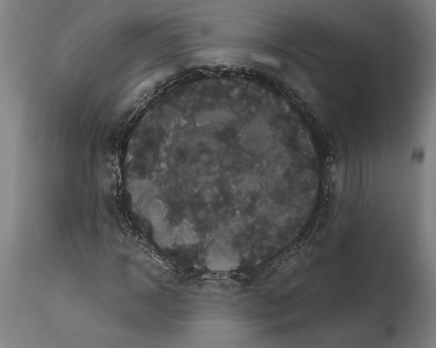 X0000114640918200911101255