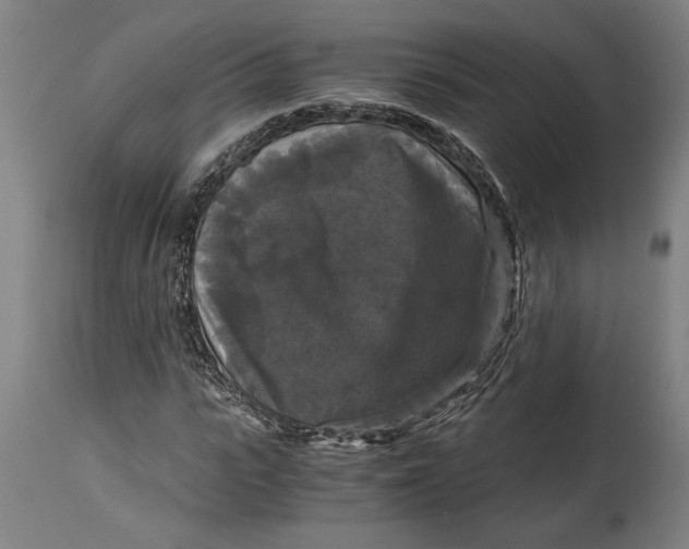X0000114640919200911101255
