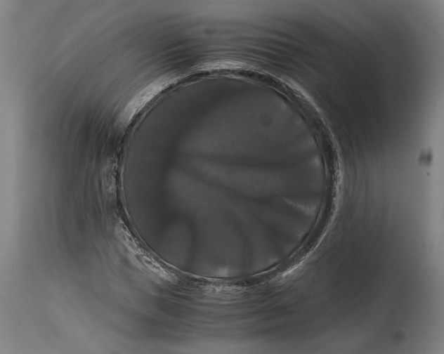 X0000114640921200911101255