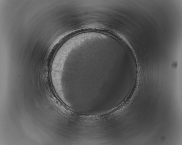 X0000114640923200911101255