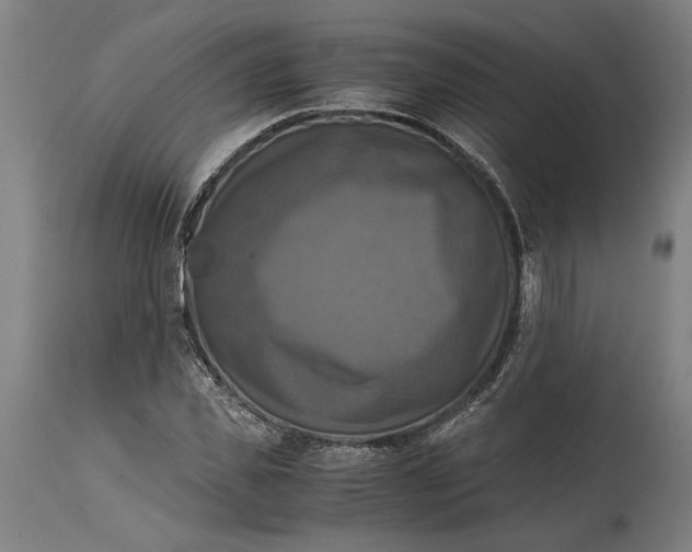 X0000114640925200911101255