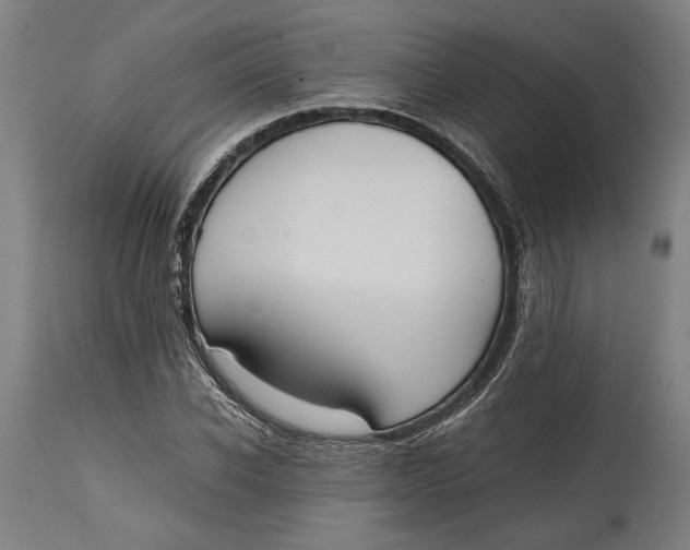 X0000114640926200911101255