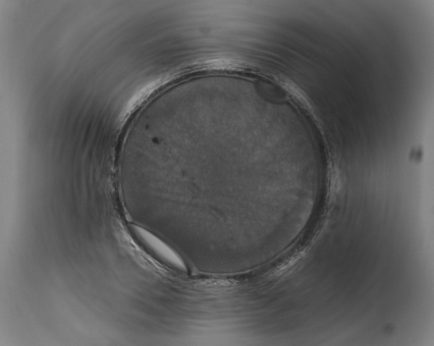 X0000114640930200911101255