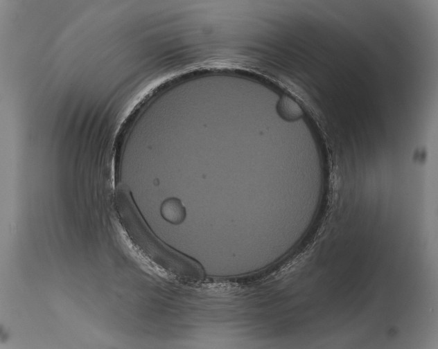 X0000114640934200911101255